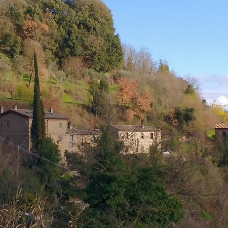 Rustico Apartment Bagnoregio Exterior foto