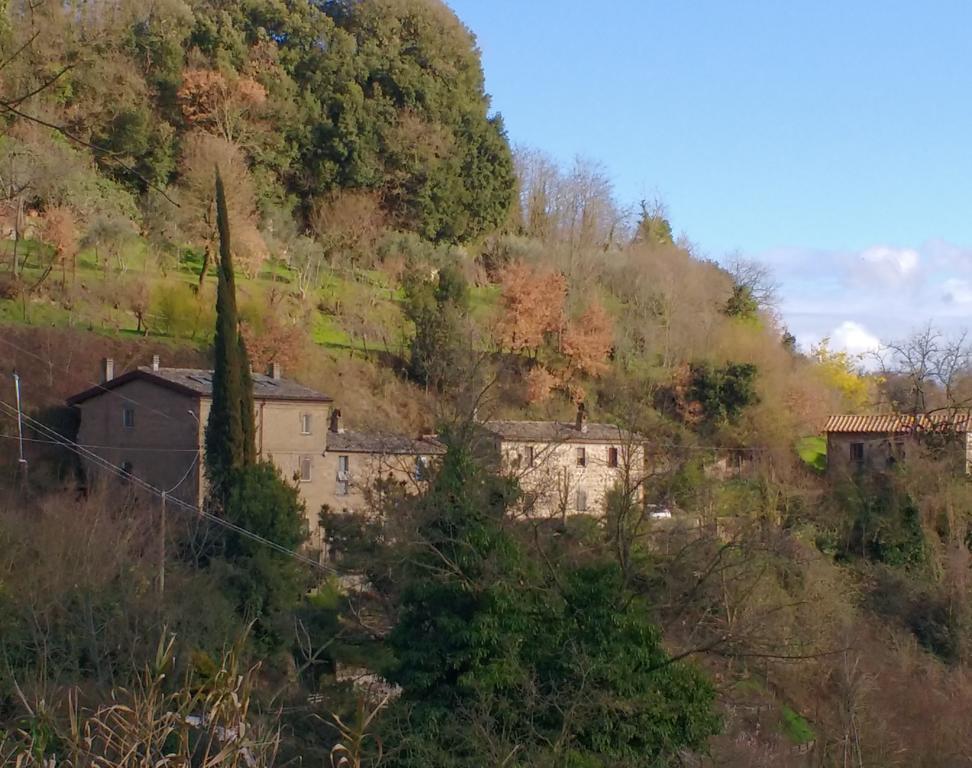 Rustico Apartment Bagnoregio Exterior foto